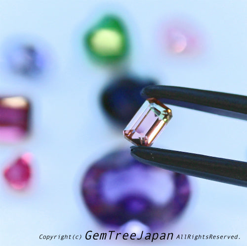 バイカラートルマリン0.31ct💎GemTree Outlet Park🌳