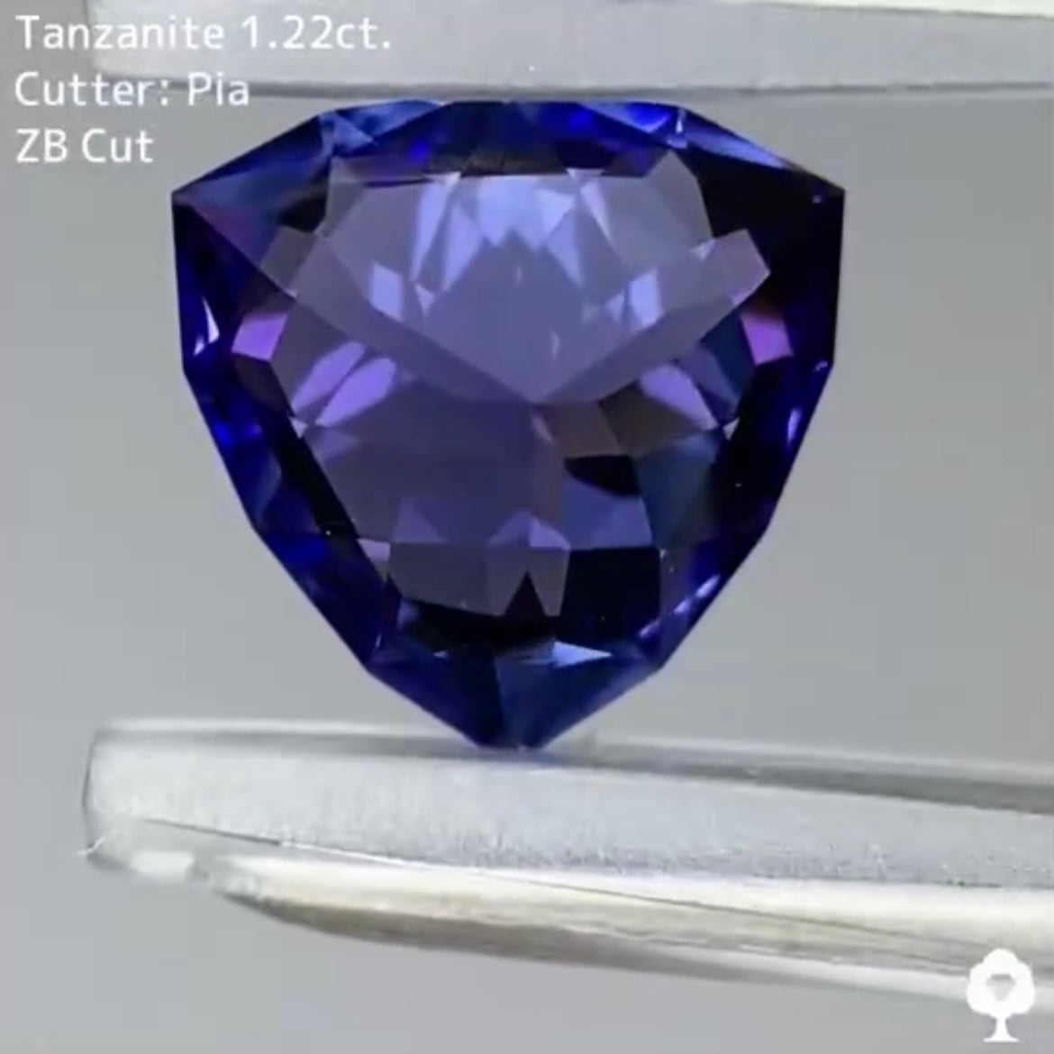 トリリアントの強い煌めきに浮かぶ宝石のカタチ★タンザナイト 1.22ct ピアッちゃん作品【ZB cut】