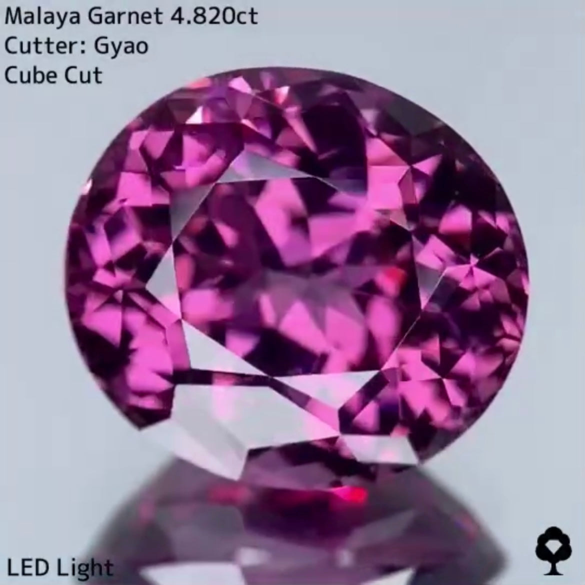美色・品質・大きさ・カットの4拍子揃った傑作★マラヤガーネット 4.820ct