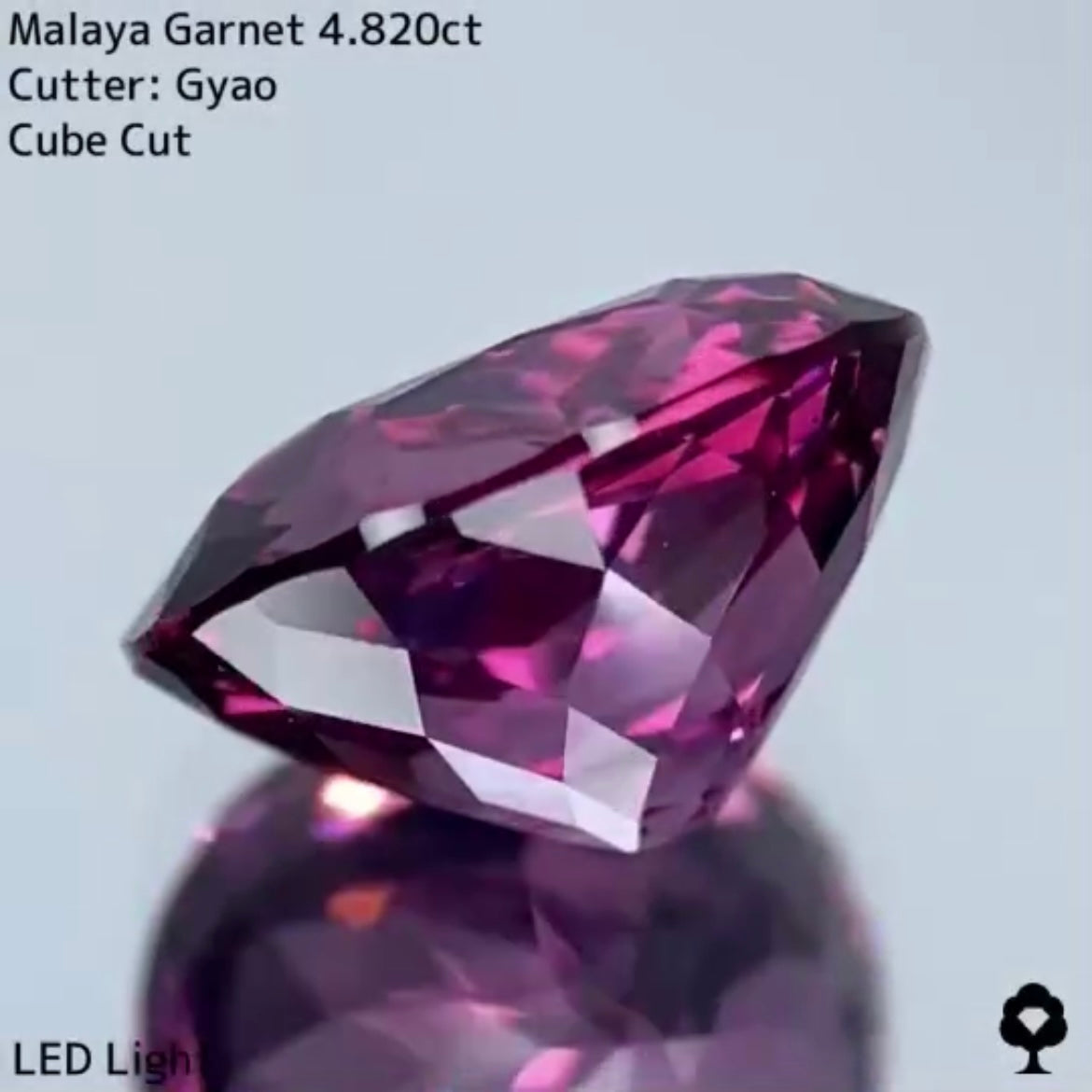 美色・品質・大きさ・カットの4拍子揃った傑作★マラヤガーネット 4.820ct