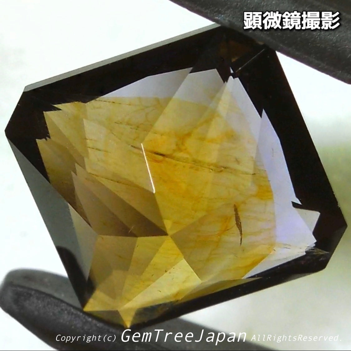 これぞアイオライトの面白さ😄こちらは1.41ct✨“青”特集 & “緑”特集 番外編❗半端ない多色感️👍