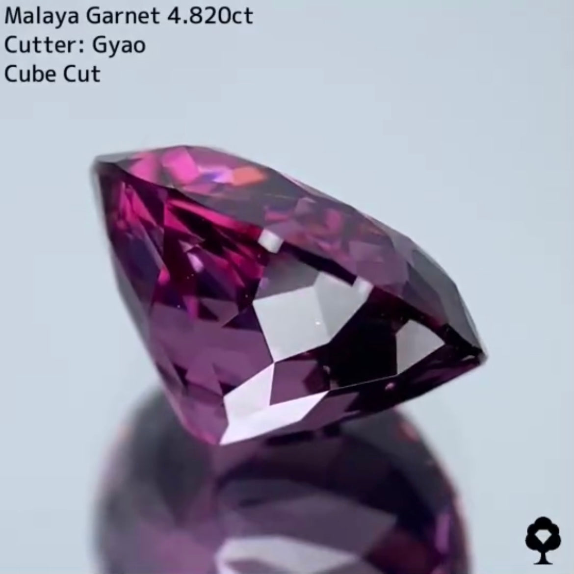 美色・品質・大きさ・カットの4拍子揃った傑作★マラヤガーネット 4.820ct