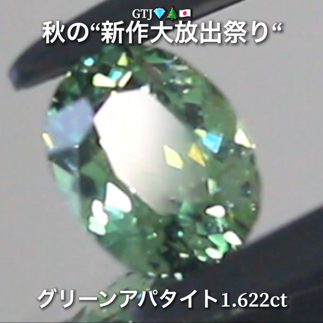 続いてはグリーンアパタイト1.622ct登場✨キラキラファイアーをまとった綺麗な煌き💎秋の“新作大放出祭り🍁”でご紹介で〜す👍