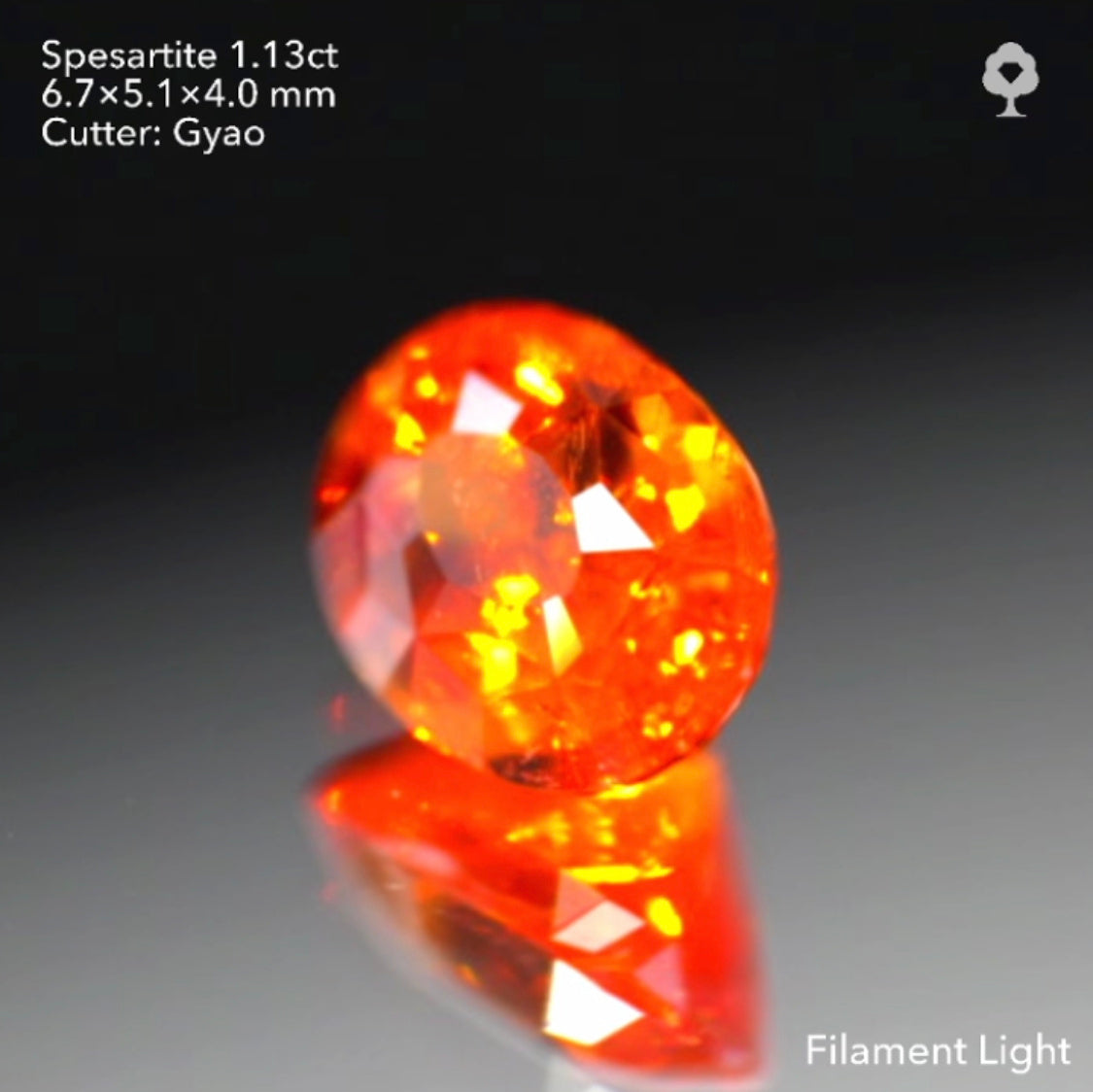 【SOLD OUT】テーブル小さめ変則キューブカット🎁✨色テリカット抜群のタンジェリン(スペサタイト)ガーネット1.13ct✨ゲオちゃん作品
