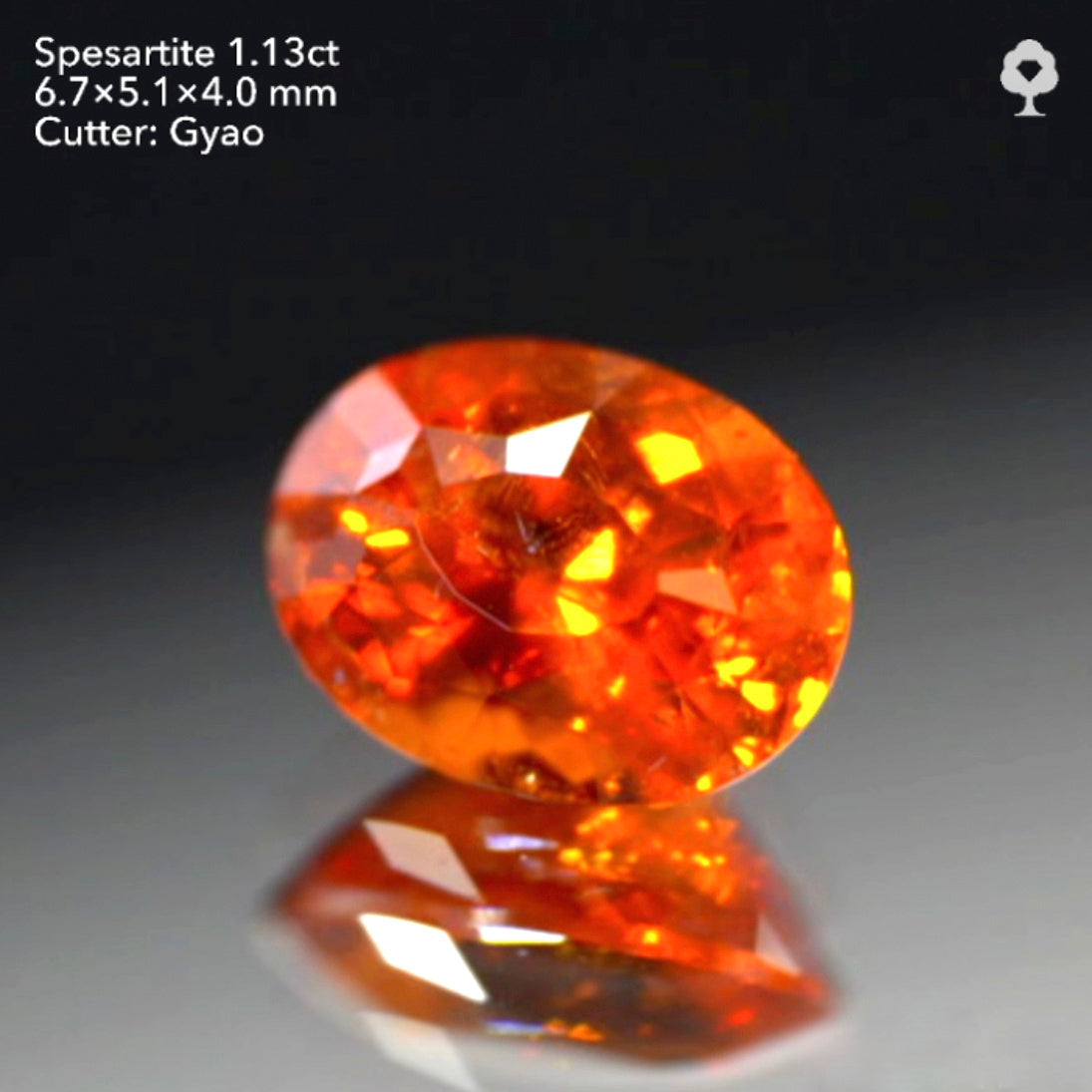 【SOLD OUT】テーブル小さめ変則キューブカット🎁✨色テリカット抜群のタンジェリン(スペサタイト)ガーネット1.13ct✨ゲオちゃん作品