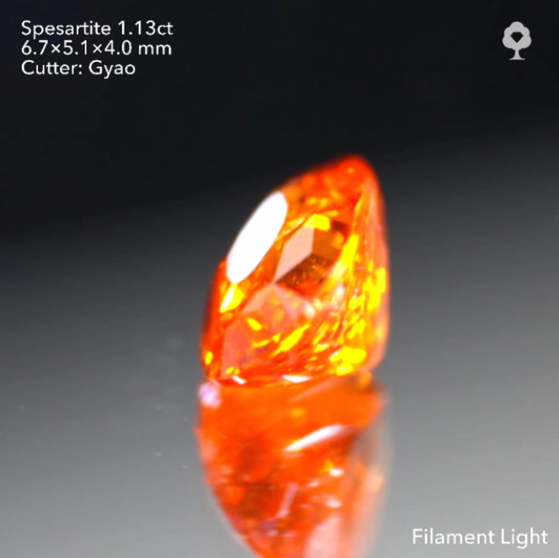 【SOLD OUT】テーブル小さめ変則キューブカット🎁✨色テリカット抜群のタンジェリン(スペサタイト)ガーネット1.13ct✨ゲオちゃん作品
