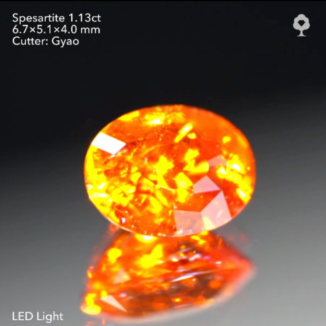 【SOLD OUT】テーブル小さめ変則キューブカット🎁✨色テリカット抜群のタンジェリン(スペサタイト)ガーネット1.13ct✨ゲオちゃん作品