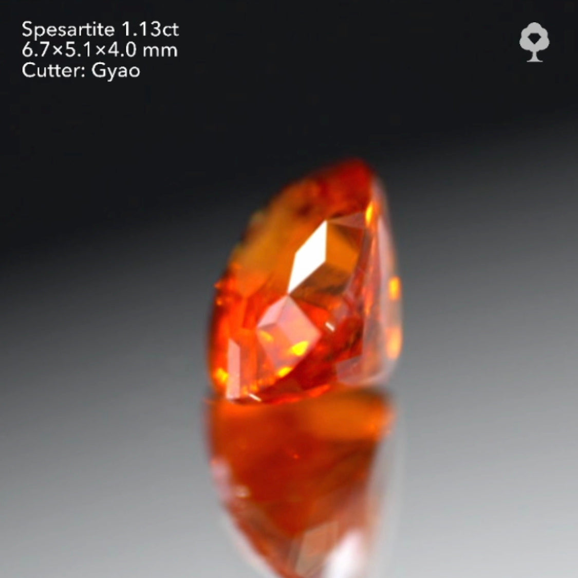 【SOLD OUT】テーブル小さめ変則キューブカット🎁✨色テリカット抜群のタンジェリン(スペサタイト)ガーネット1.13ct✨ゲオちゃん作品