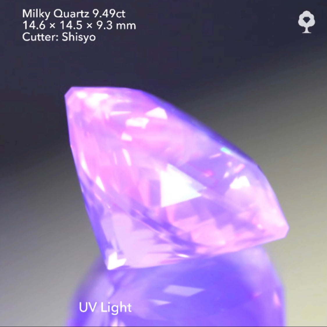 十六角形🌖お月様のような“いざよい”ミルキークォーツ 9.49ct 師匠作品👍GTJ名物【HPオークション】こちらはクーポンはごめんなさい🙏