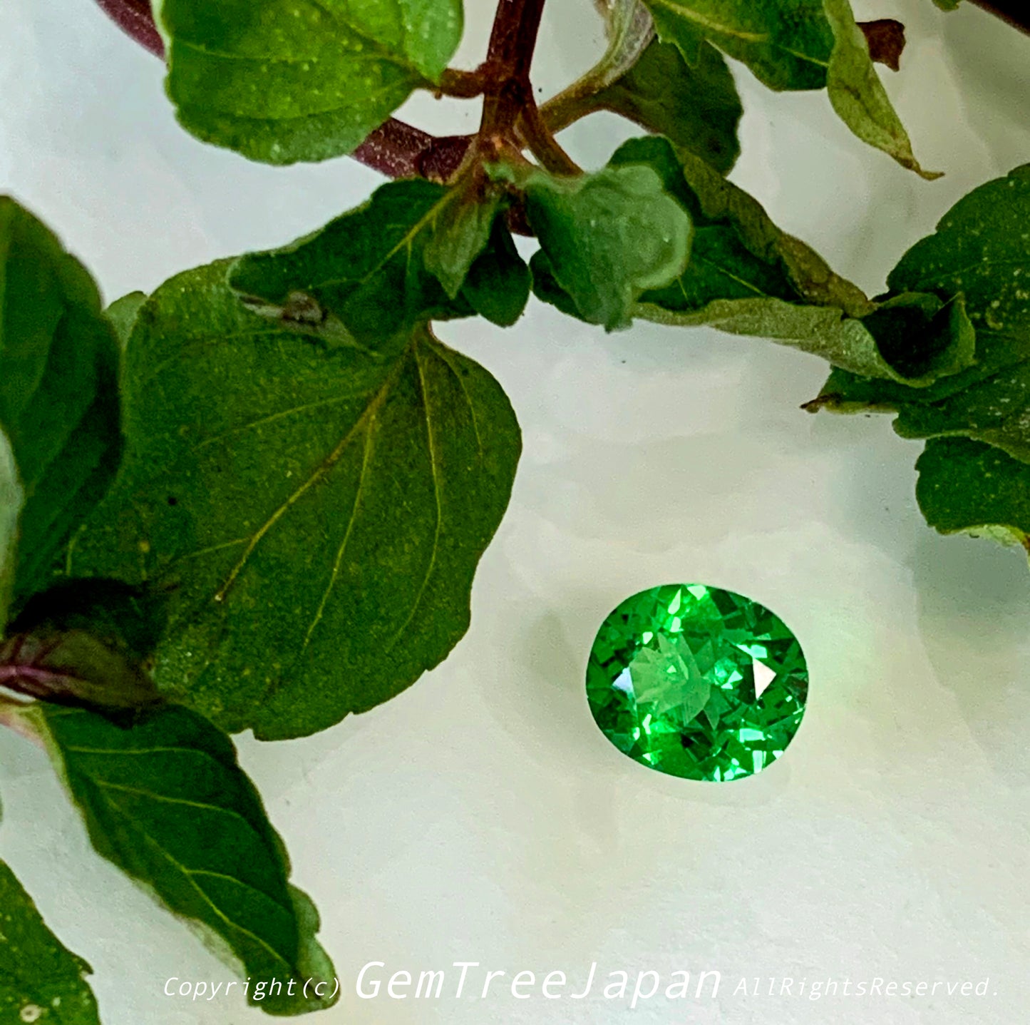 カナリ貴重なこのネオン感❗️ツァボライト(グリーンガーネット) 0.842ct✨11/17お昼Live配信商品⚡️ゲオちゃん作品💎