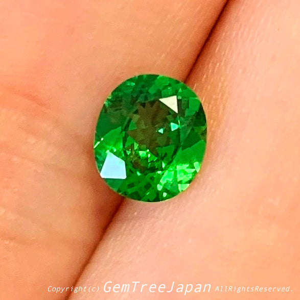 カナリ貴重なこのネオン感❗️ツァボライト(グリーンガーネット) 0.842ct✨11/17お昼Live配信商品⚡️ゲオちゃん作品💎