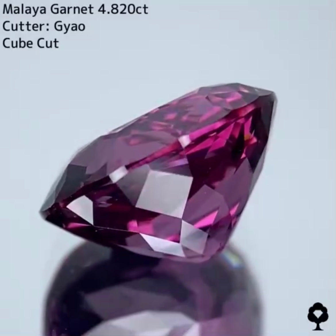 美色・品質・大きさ・カットの4拍子揃った傑作★マラヤガーネット 4.820ct