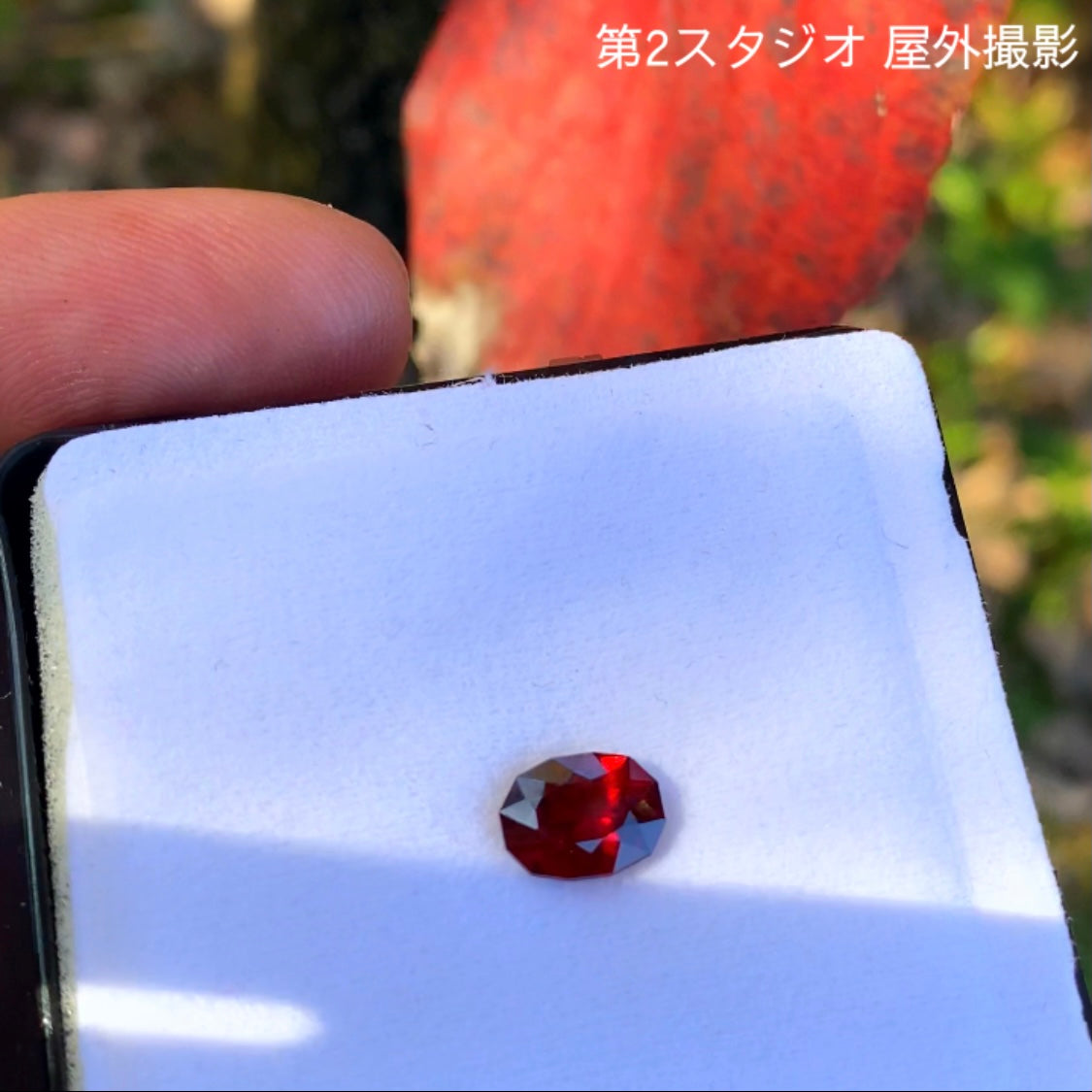 およそ一年ぶりの企画再稼働😁👍開催期間の長〜いオークション!その名も“1ヶ月オークション”💎🌲10/15スタート〜11/14終了🤣 ピアッちゃん作品「レッドマラヤガーネット」1.856ct✨