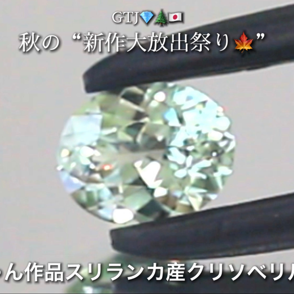 バナジウムクリソベリル0.682ct✨ピアっちゃん作品👌GTJ💎🌲🇯🇵秋の“新作大放出祭り🍁”期間中は特にお得な価格でご紹介します❗️