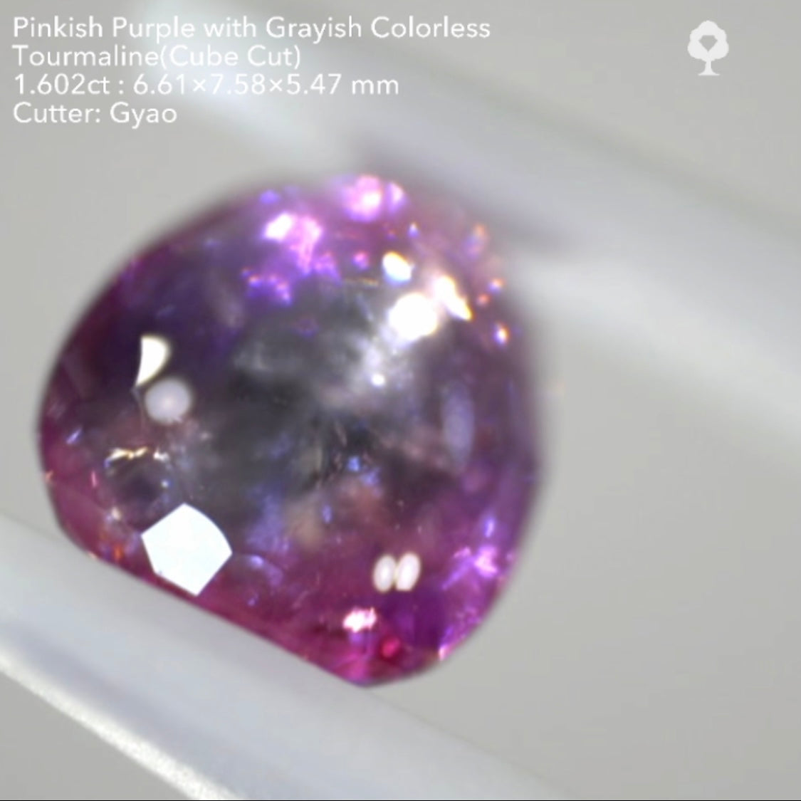 複雑な美色トルマリン(バフトップテーブル&変則キューブ) 1.602ct✨ゲオちゃん作品