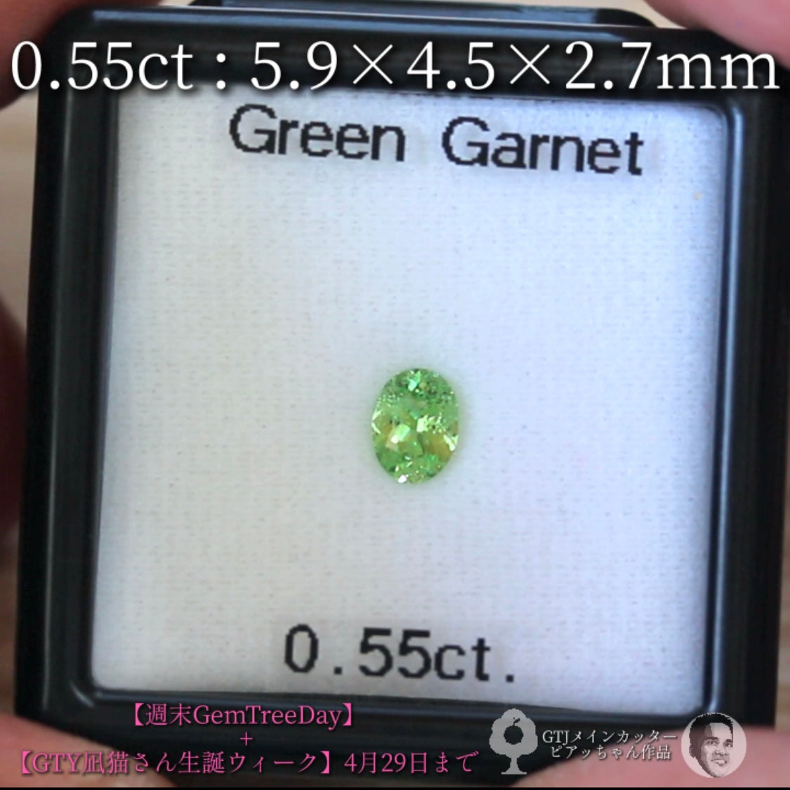見事な艶&テリ✨グリーンガーネット0.55ct