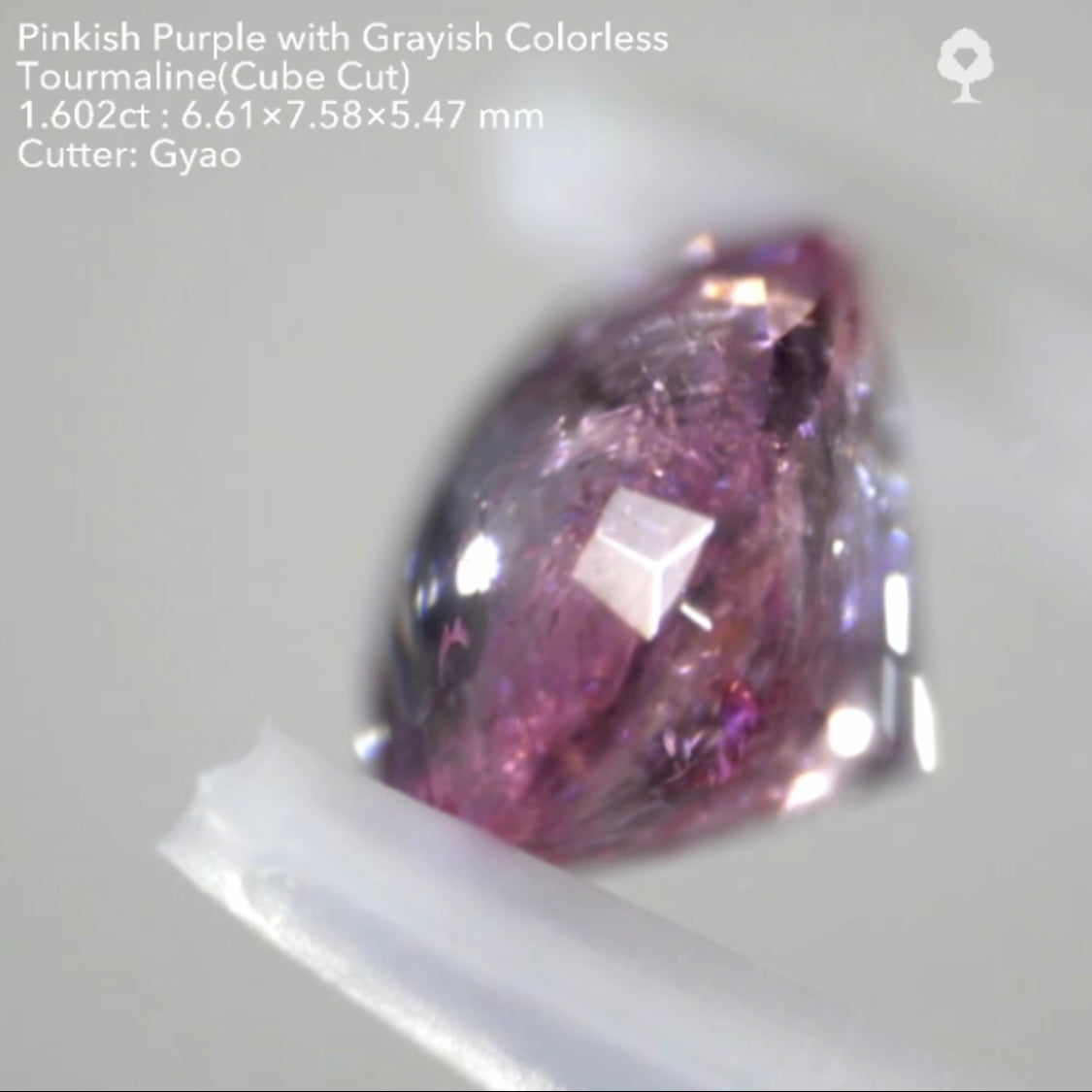 複雑な美色トルマリン(バフトップテーブル&変則キューブ) 1.602ct✨ゲオちゃん作品
