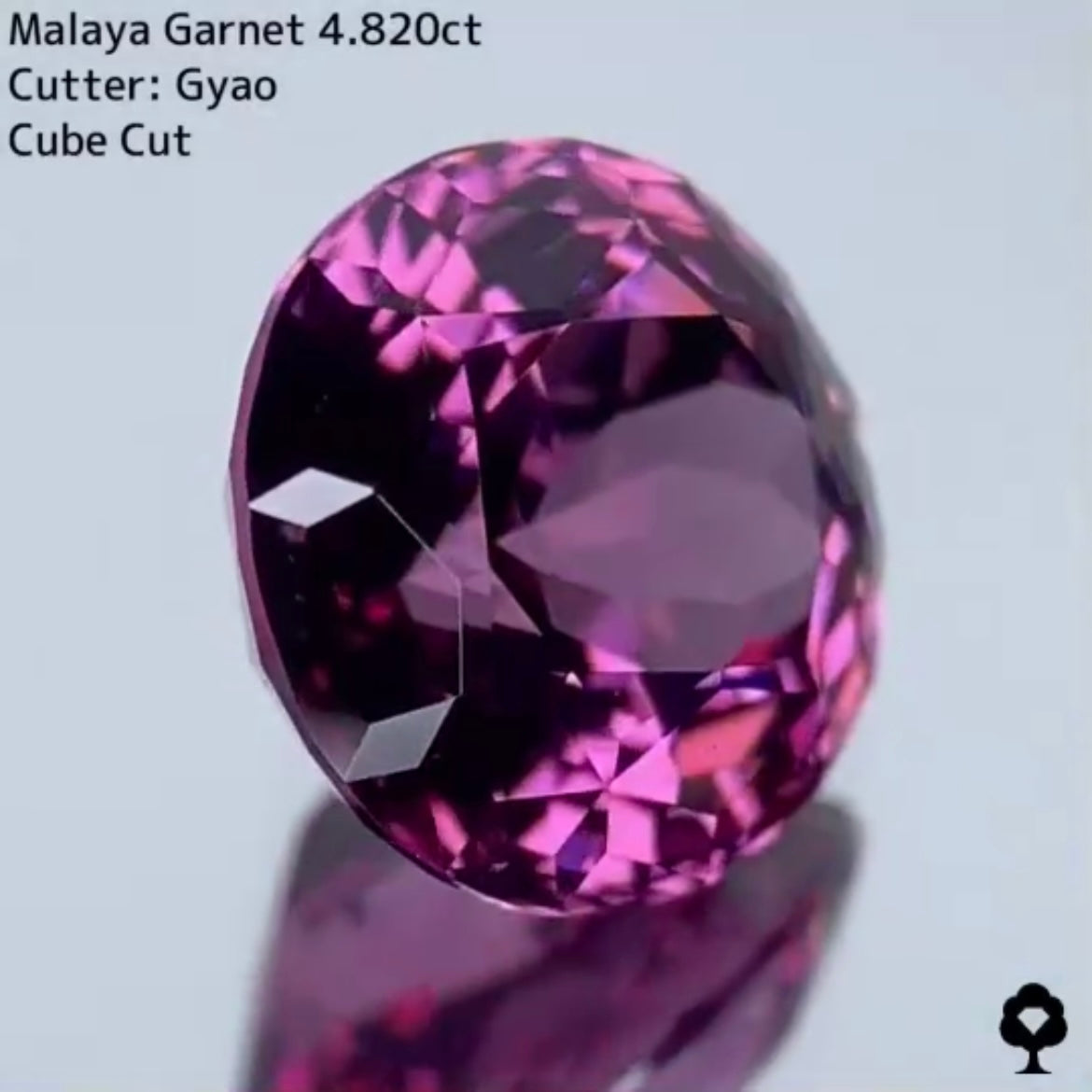 美色・品質・大きさ・カットの4拍子揃った傑作★マラヤガーネット 4.820ct