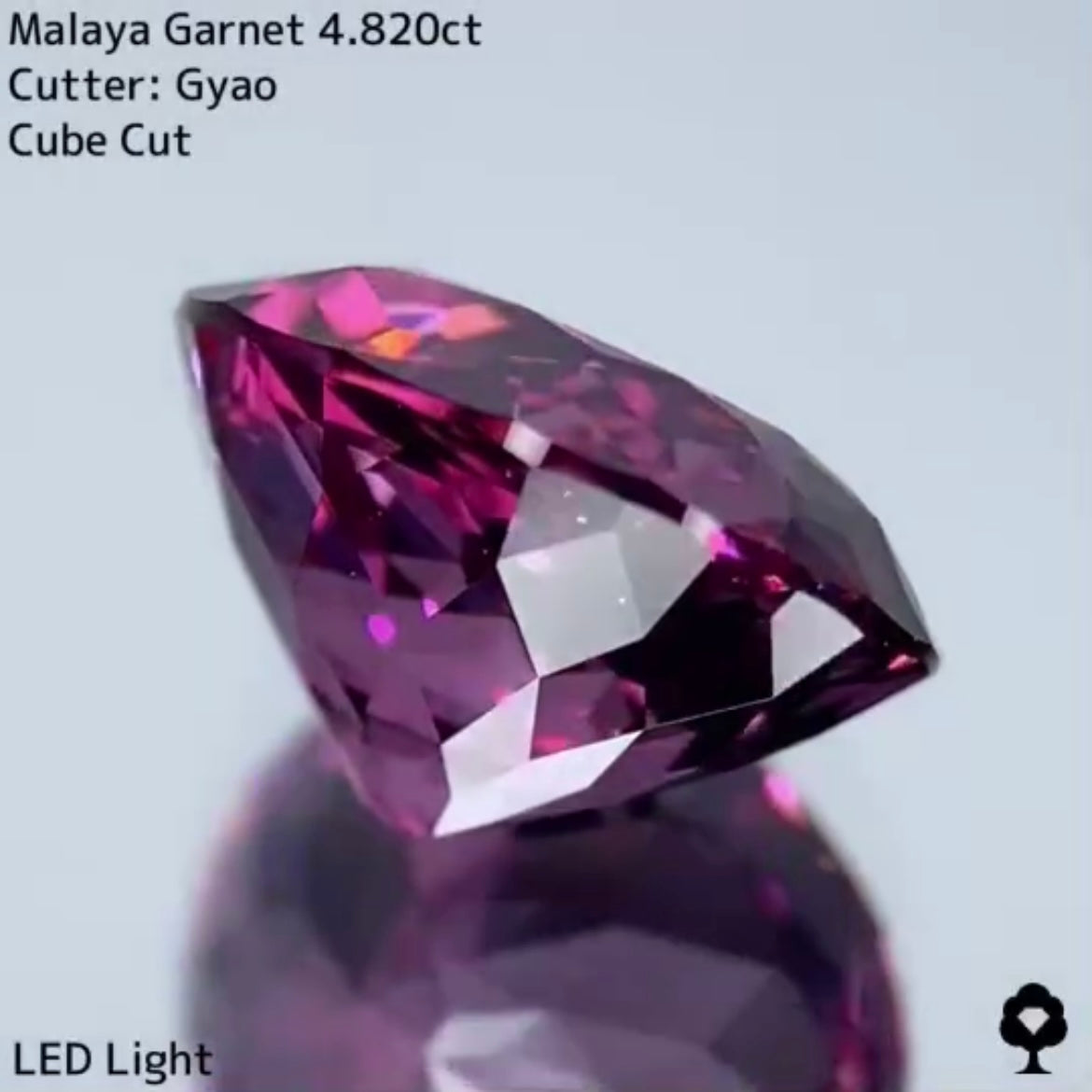 美色・品質・大きさ・カットの4拍子揃った傑作★マラヤガーネット 4.820ct