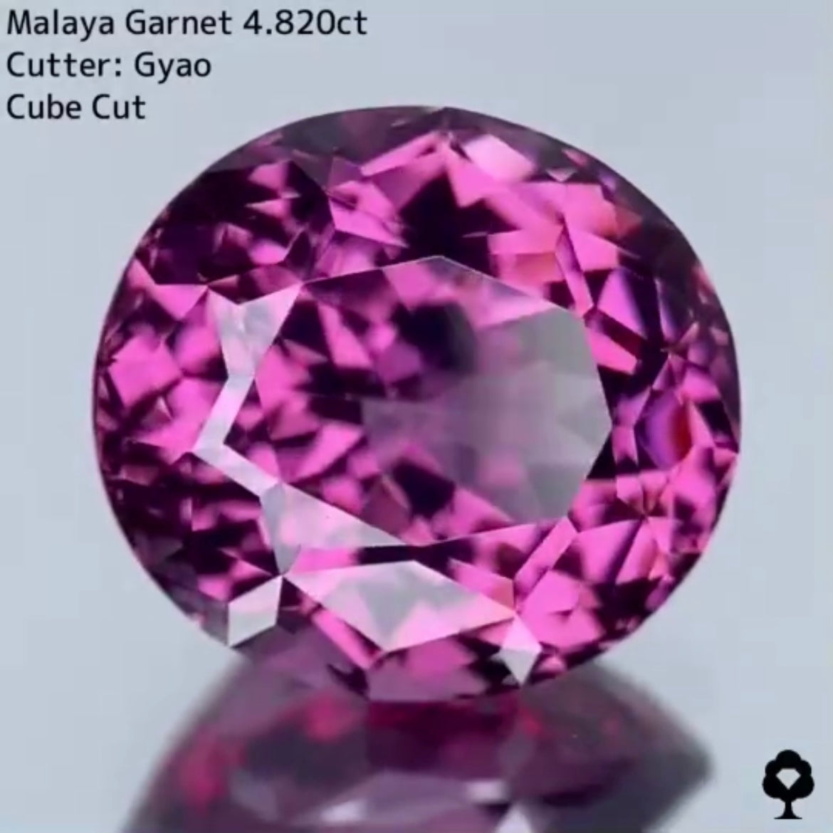 美色・品質・大きさ・カットの4拍子揃った傑作★マラヤガーネット 4.820ct
