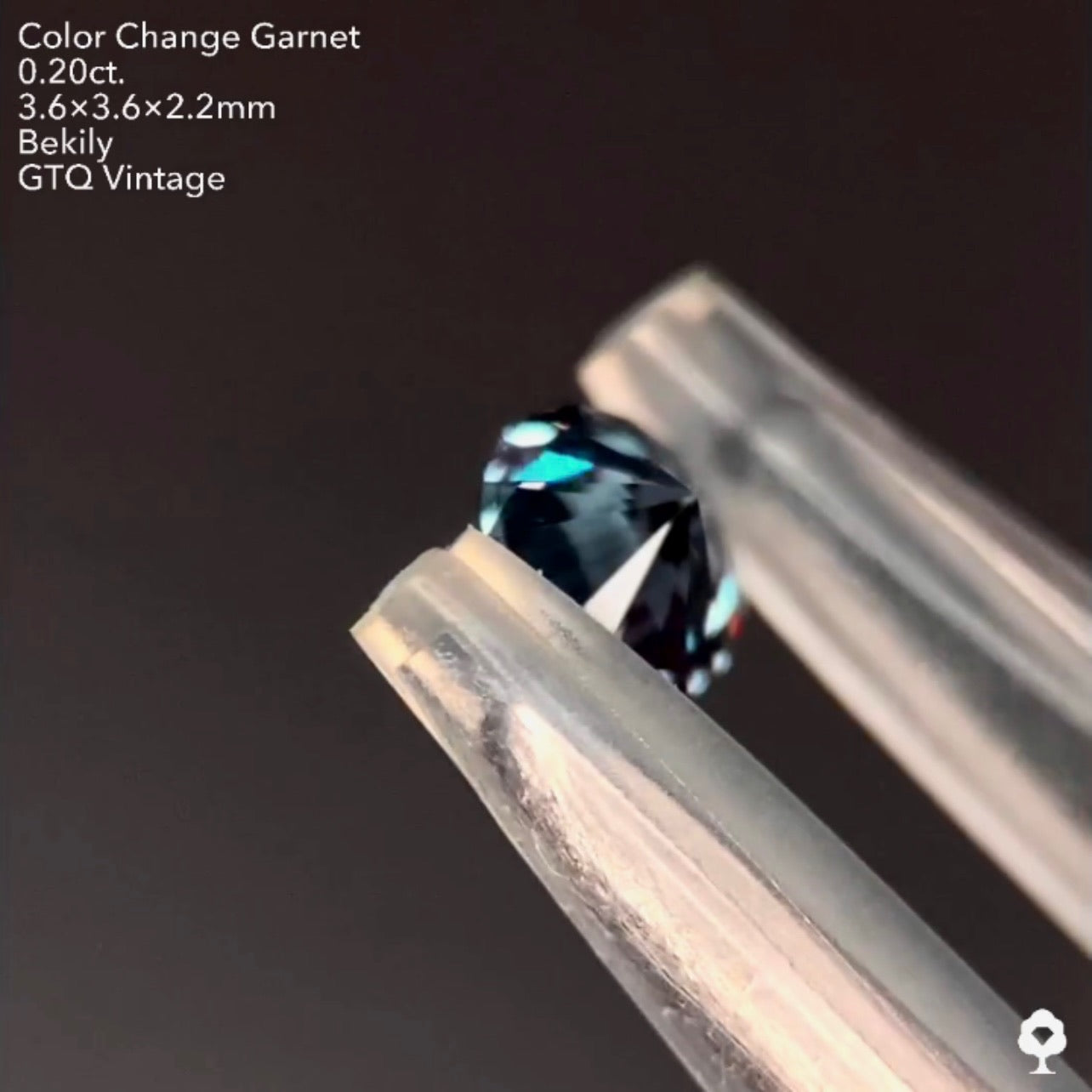 No19.🌊良き質🤤ベキリー(カラーチェンジ)ガーネット0.20ct❤️🔥全サイトでイッキに販売スタートLive💎✨❤️🔥🔦