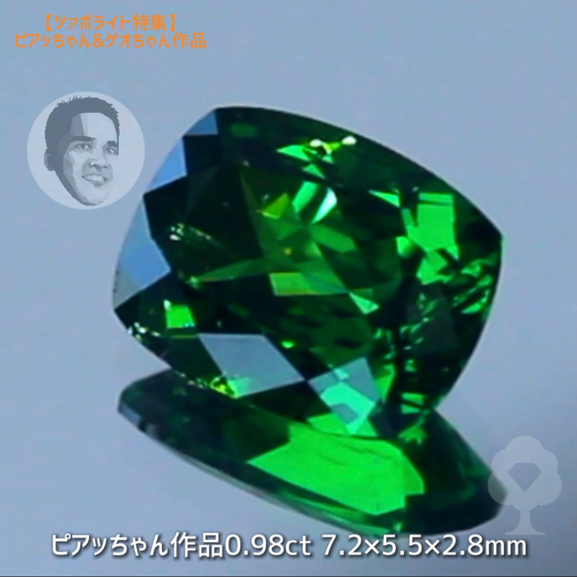 “ツァボライト特集”✨8作品の中から【ピアッちゃん作品クッション0.98ct】💎