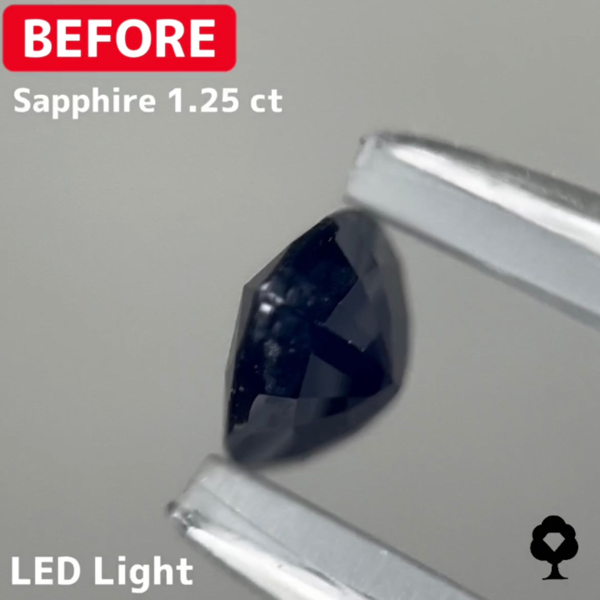 【BeforeAfterギャンブル企画2🦐】カットがモヤモヤするBefore宝石が生まれ変わる‼️サファイア Before 1.25ct