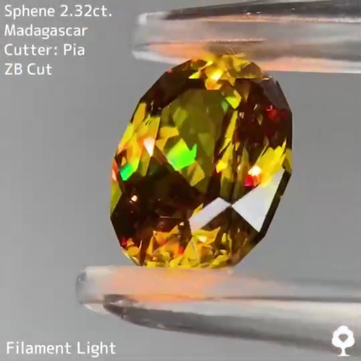 【6万円スタート❗️2023カウントダウン逆オークション】ややグリニッシュな美色ゴールドに施された宝石のカタチ★スフェーン 2.32ct ピアッちゃん作品【ZB cut】