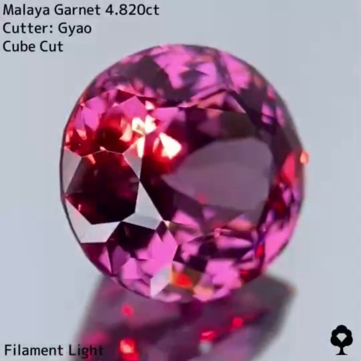 美色・品質・大きさ・カットの4拍子揃った傑作★マラヤガーネット 4.820ct