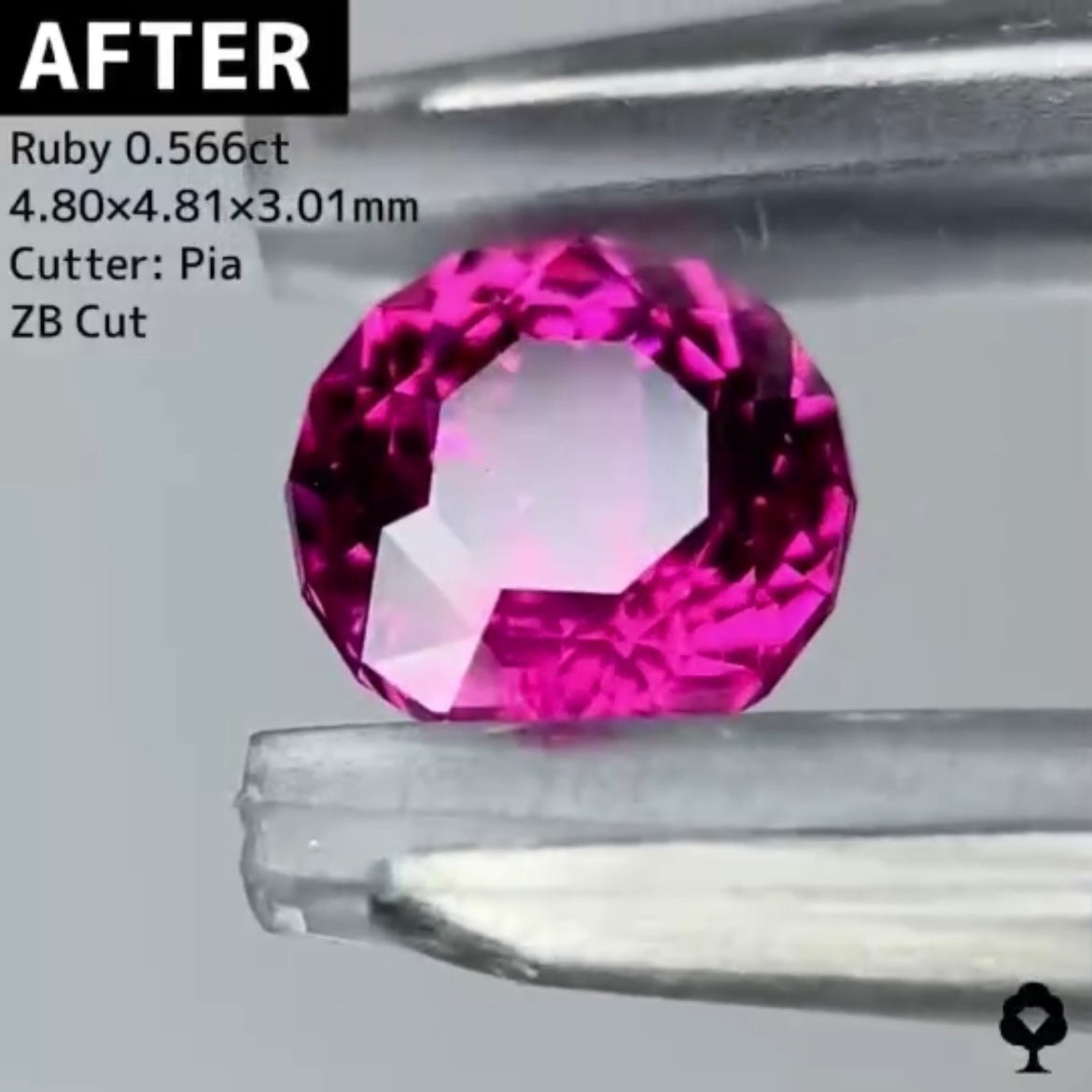 【BEFORE宝石】⑥ ルビー 0.69ct