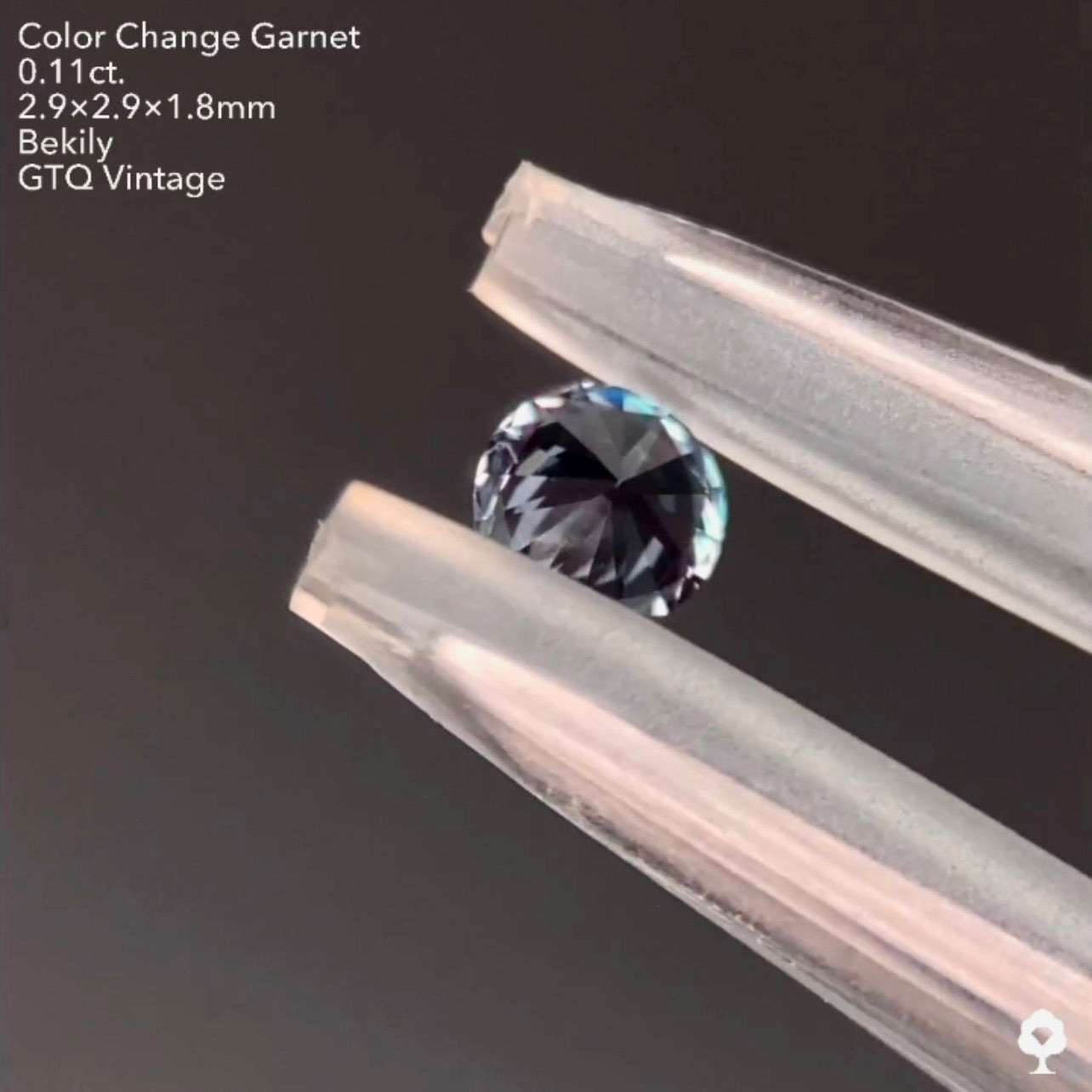 カッコよくてレアなグレーのベキリー(カラーチェンジ)ガーネット0.11ct❤️🔥