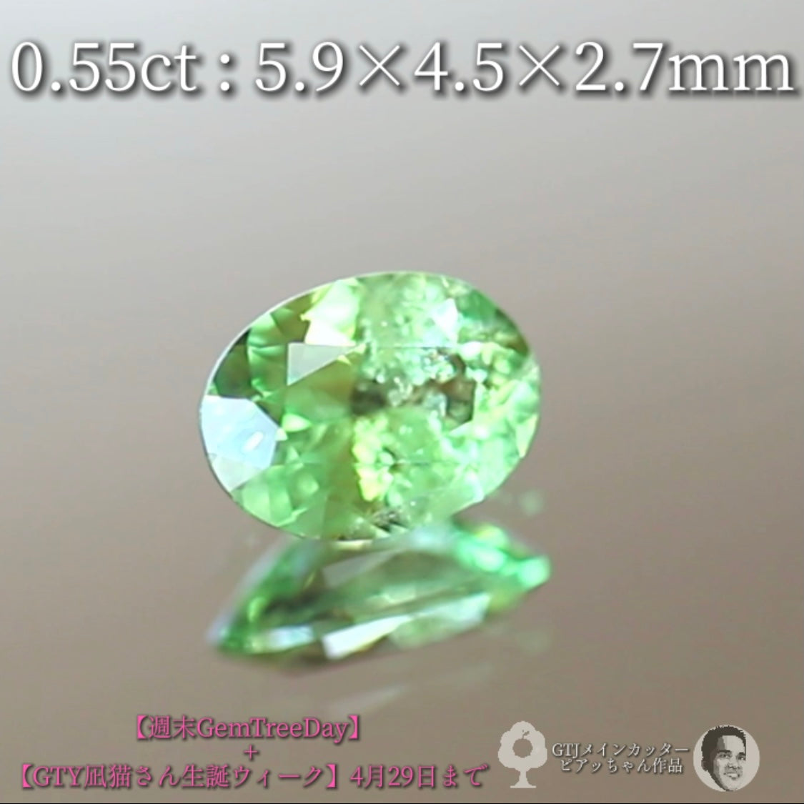 見事な艶&テリ✨グリーンガーネット0.55ct