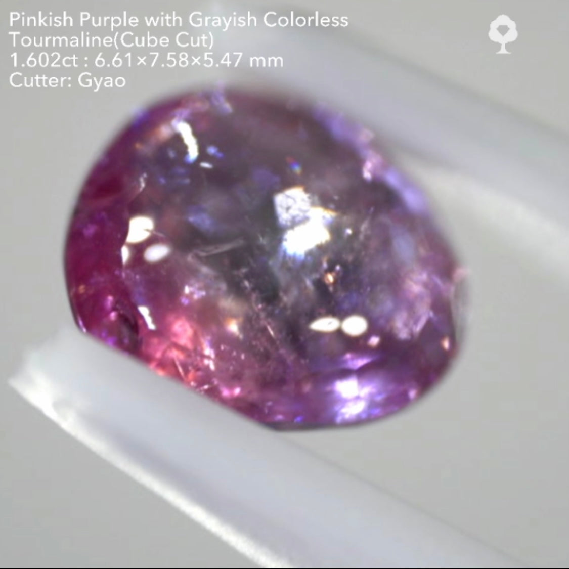 複雑な美色トルマリン(バフトップテーブル&変則キューブ) 1.602ct✨ゲオちゃん作品