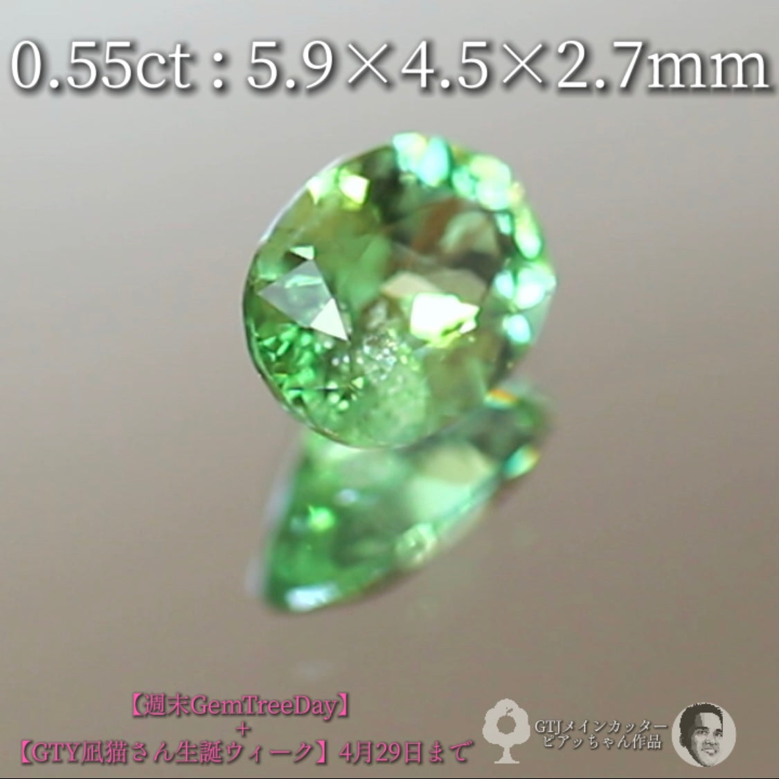 見事な艶&テリ✨グリーンガーネット0.55ct