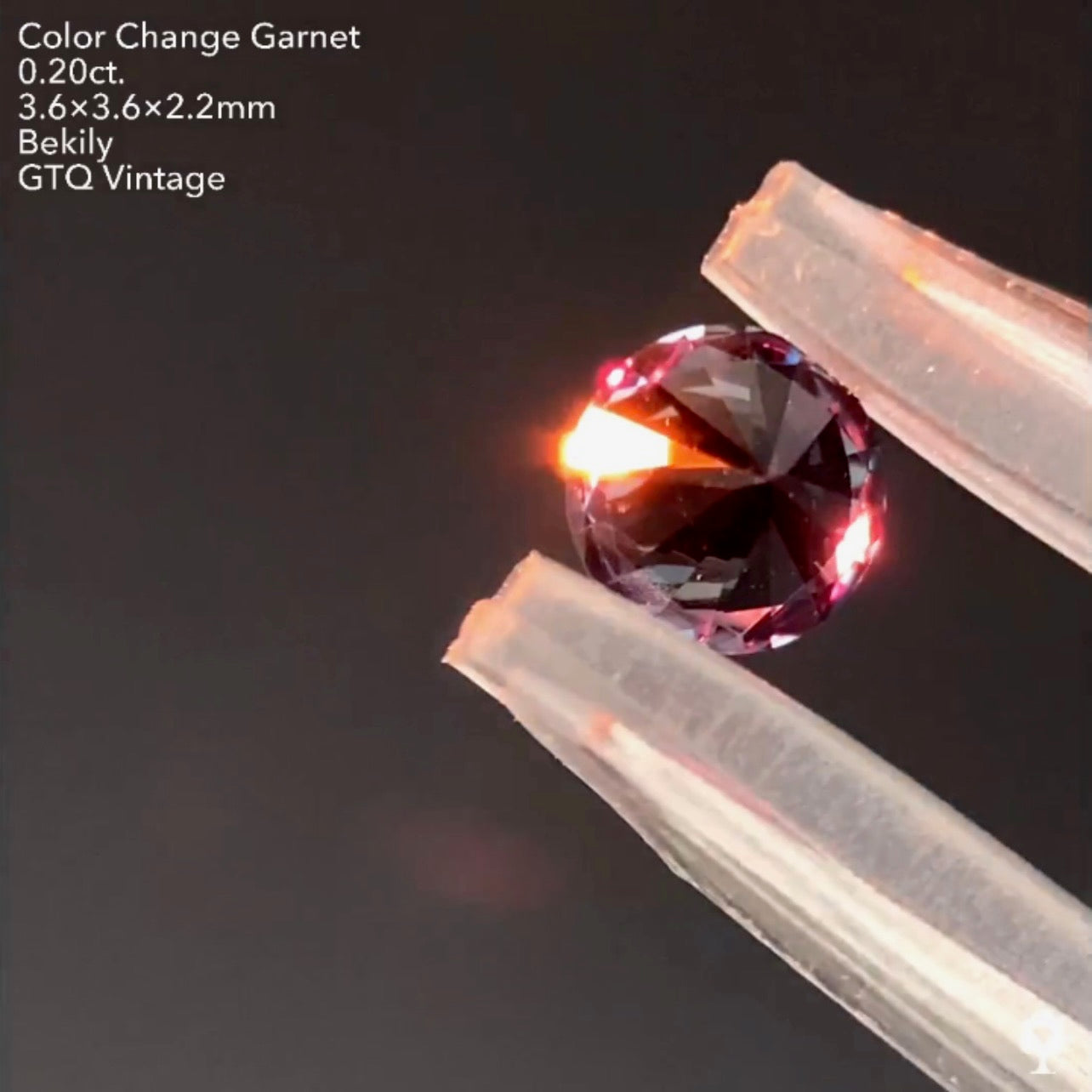 No19.🌊良き質🤤ベキリー(カラーチェンジ)ガーネット0.20ct❤️🔥全サイトでイッキに販売スタートLive💎✨❤️🔥🔦