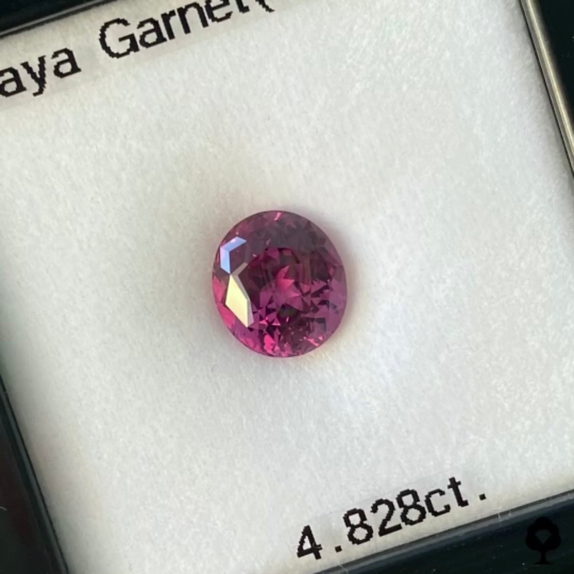 美色・品質・大きさ・カットの4拍子揃った傑作★マラヤガーネット 4.820ct