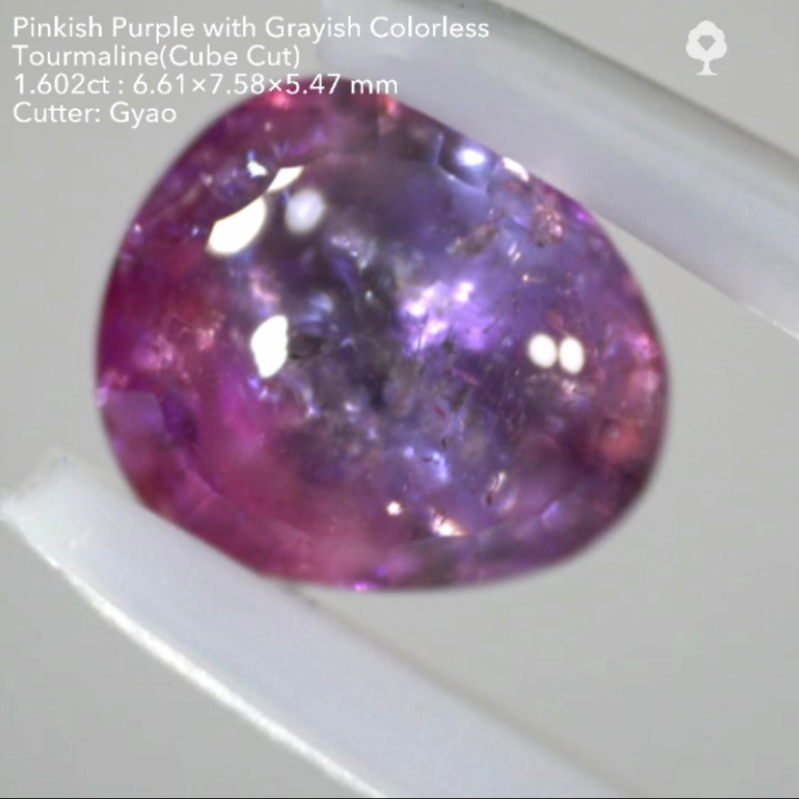 複雑な美色トルマリン(バフトップテーブル&変則キューブ) 1.602ct✨ゲオちゃん作品