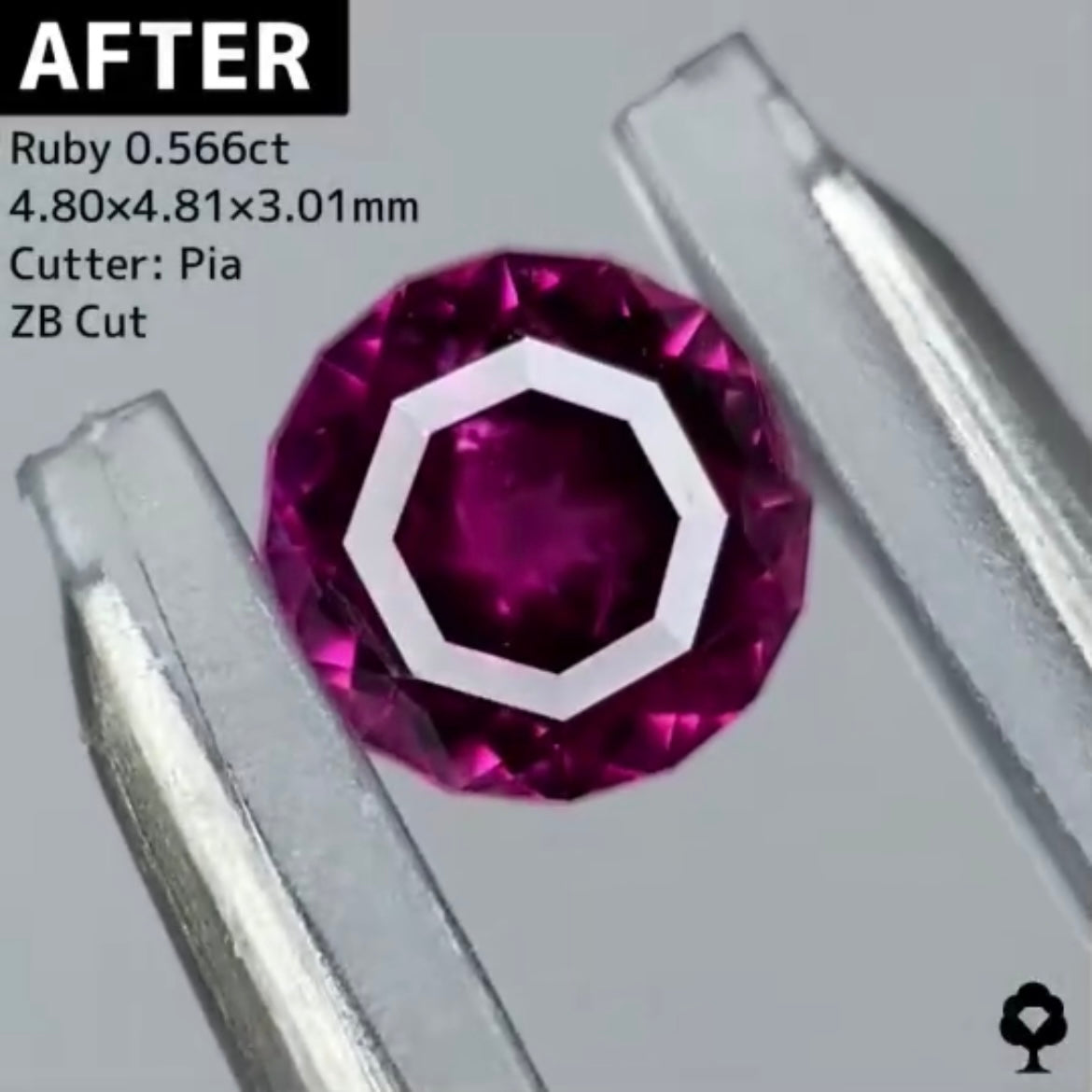 【BEFORE宝石】⑥ ルビー 0.69ct