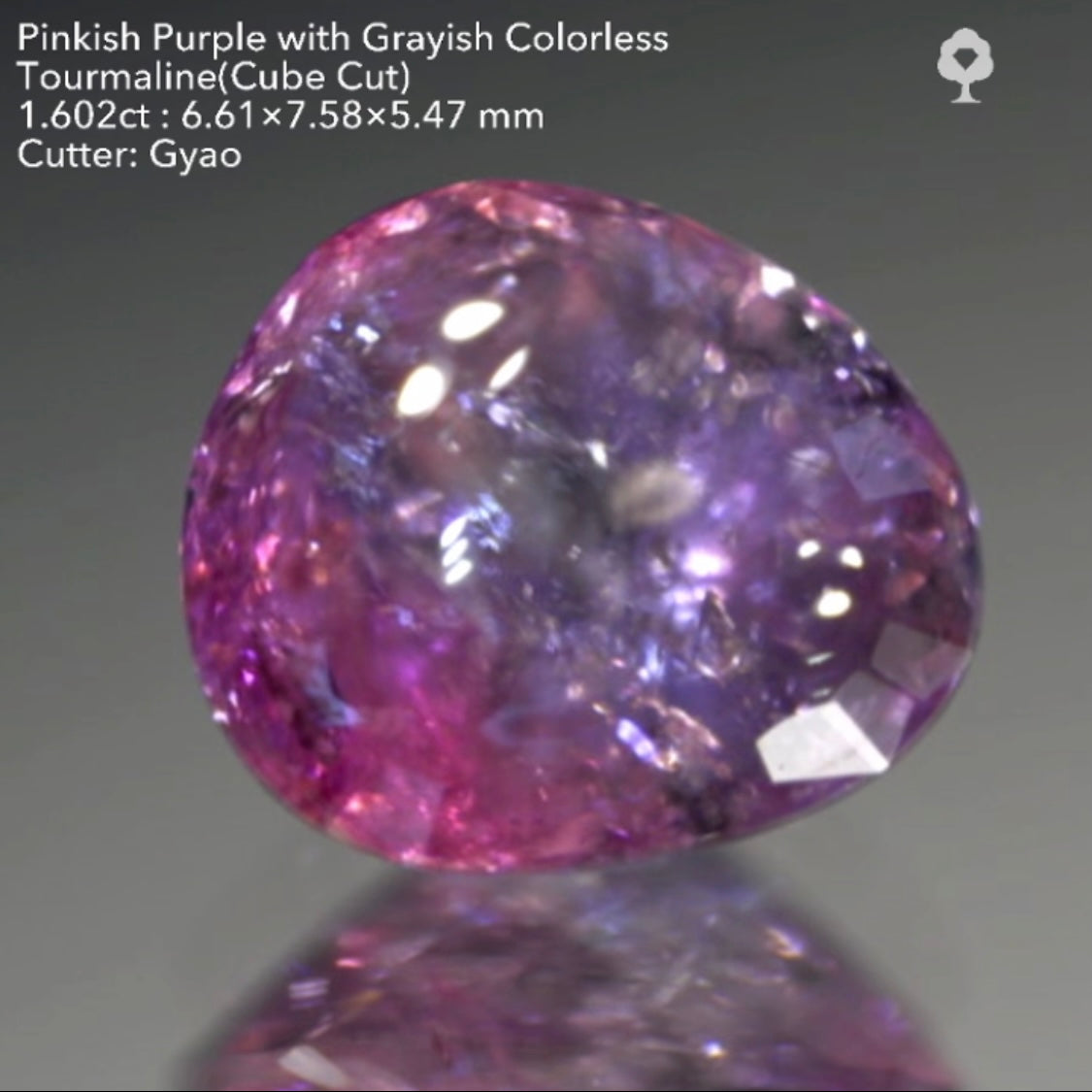 複雑な美色トルマリン(バフトップテーブル&変則キューブ) 1.602ct✨ゲオちゃん作品