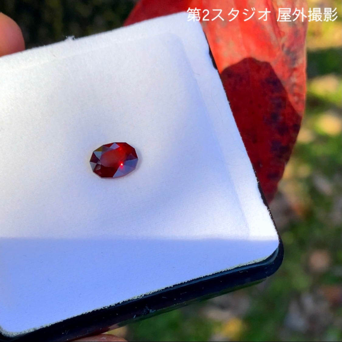 およそ一年ぶりの企画再稼働😁👍開催期間の長〜いオークション!その名も“1ヶ月オークション”💎🌲10/15スタート〜11/14終了🤣 ピアッちゃん作品「レッドマラヤガーネット」1.856ct✨