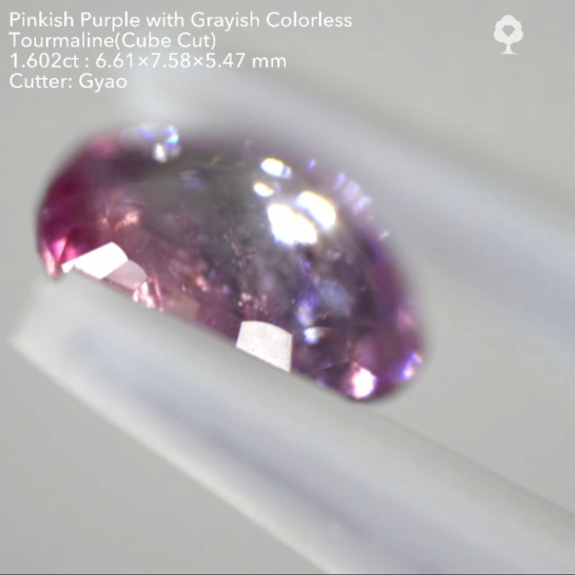 複雑な美色トルマリン(バフトップテーブル&変則キューブ) 1.602ct✨ゲオちゃん作品