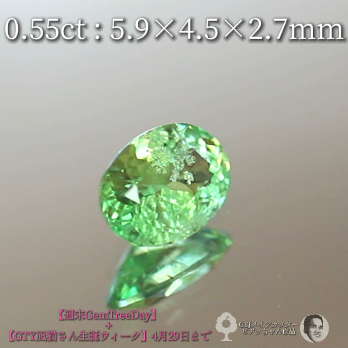 見事な艶&テリ✨グリーンガーネット0.55ct