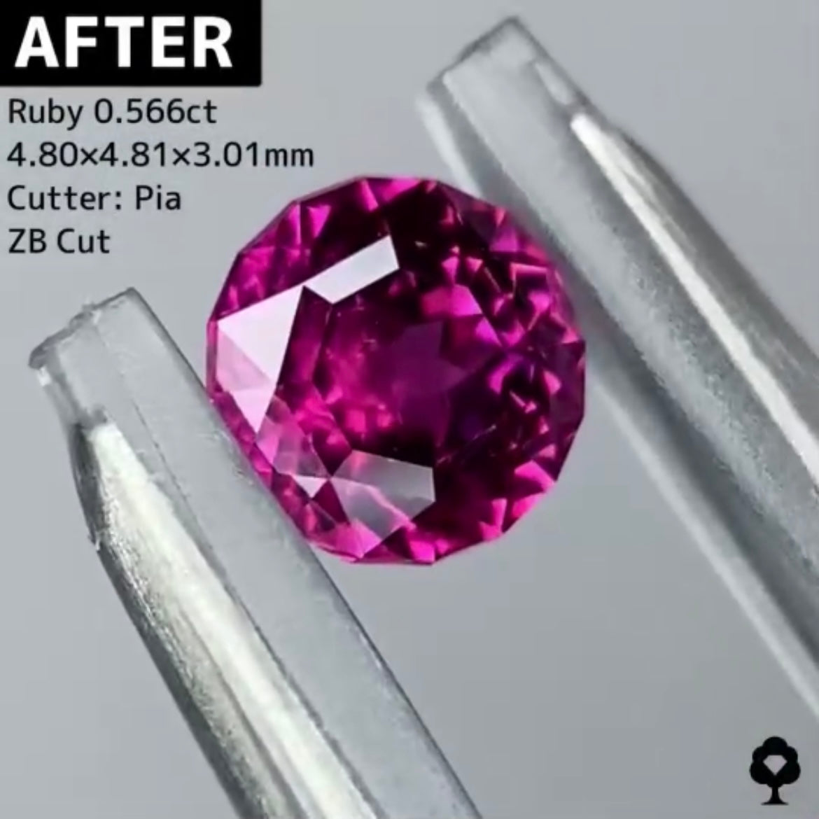 【BEFORE宝石】⑥ ルビー 0.69ct