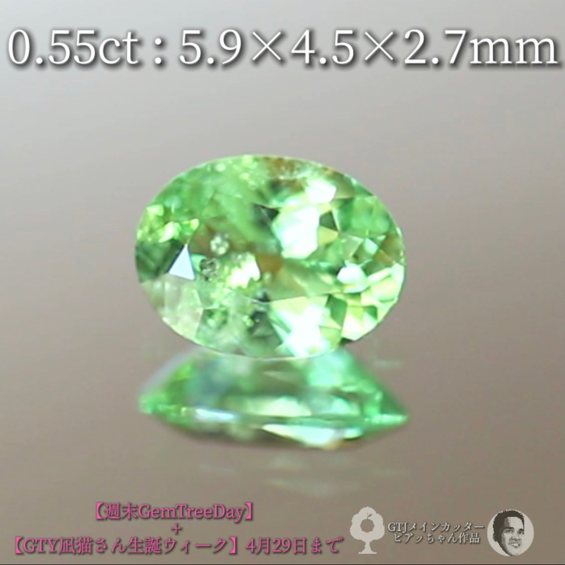 見事な艶&テリ✨グリーンガーネット0.55ct