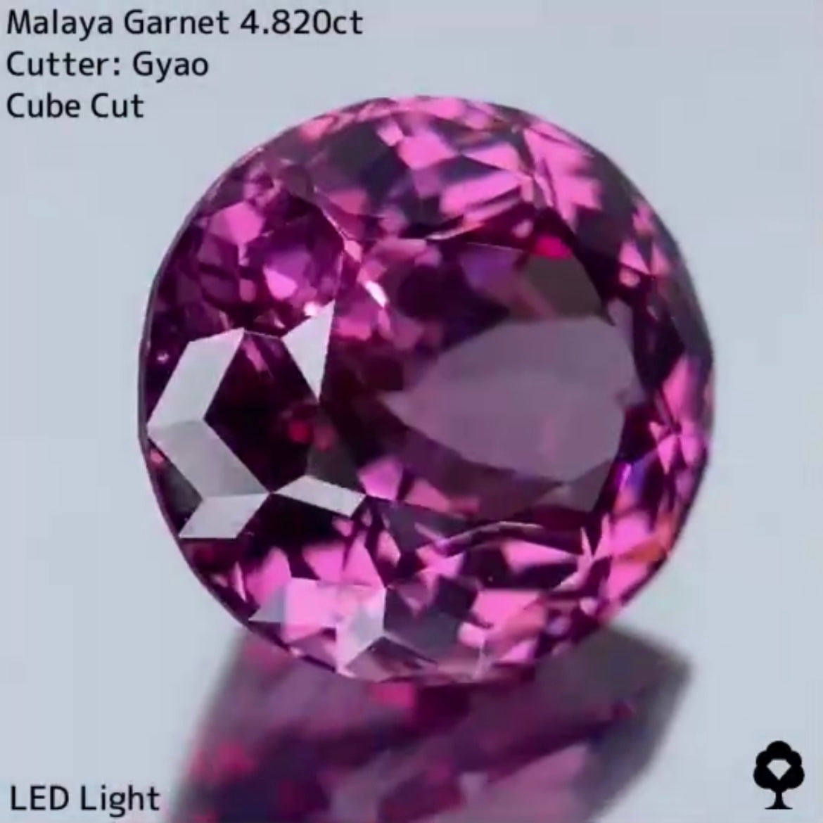 美色・品質・大きさ・カットの4拍子揃った傑作★マラヤガーネット 4.820ct