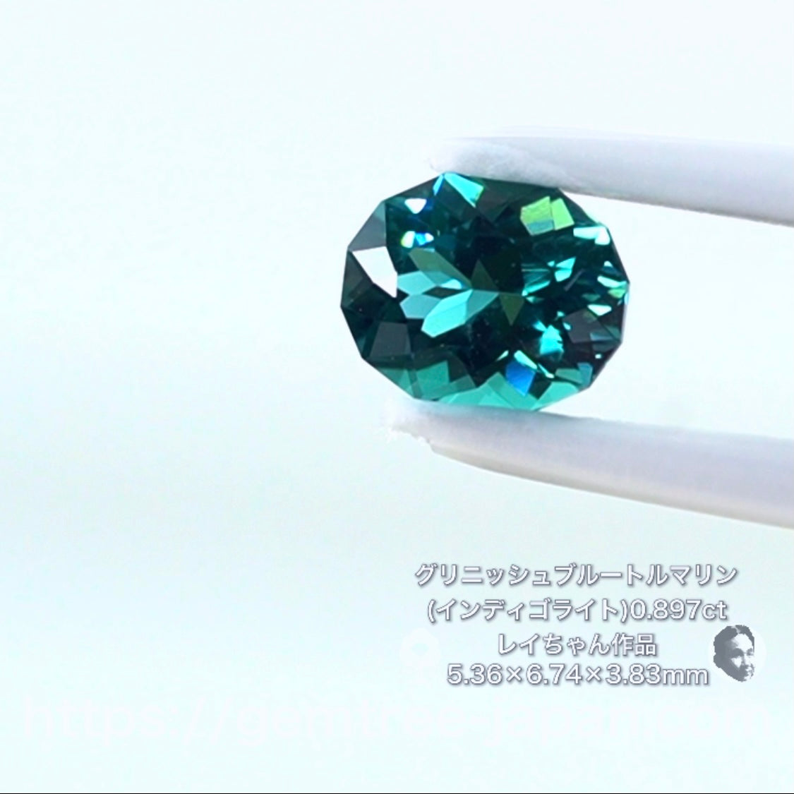 ハチャメチャ美しいグリニッシュブルートルマリン(インディゴライト) 0.897ct✨レイちゃん作品