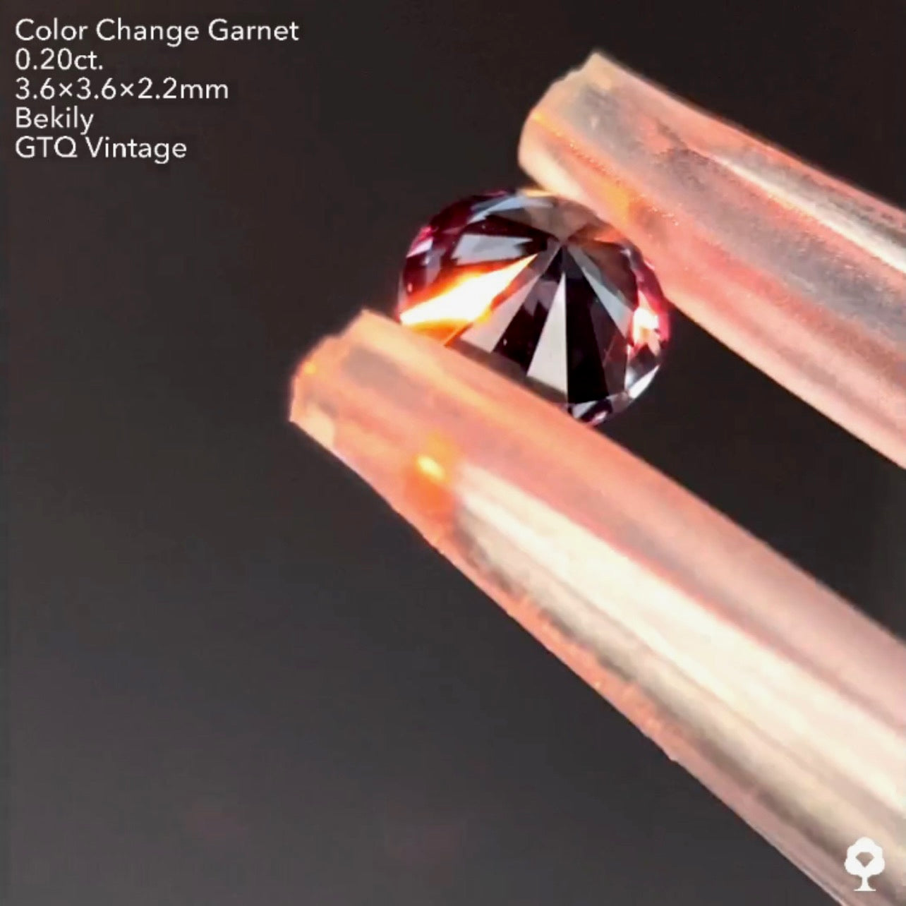 No19.🌊良き質🤤ベキリー(カラーチェンジ)ガーネット0.20ct❤️🔥全サイトでイッキに販売スタートLive💎✨❤️🔥🔦