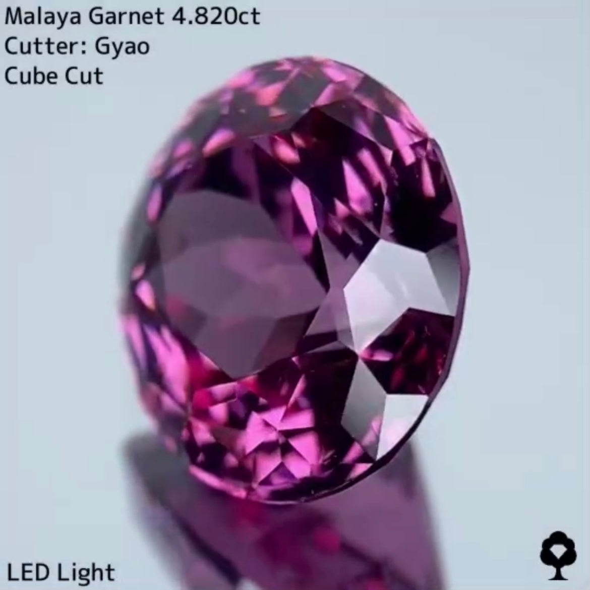 美色・品質・大きさ・カットの4拍子揃った傑作★マラヤガーネット 4.820ct