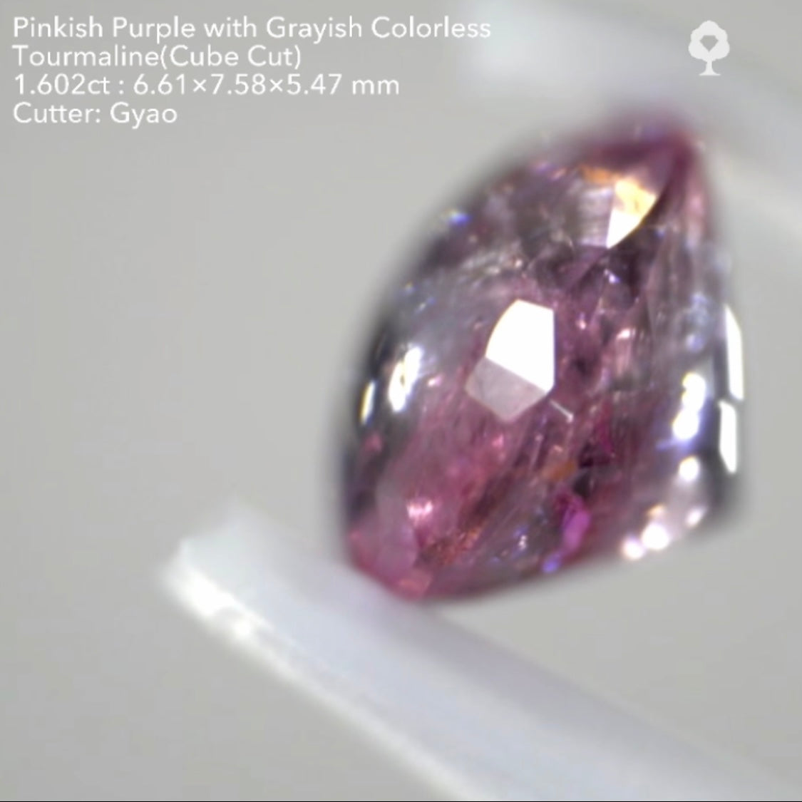 複雑な美色トルマリン(バフトップテーブル&変則キューブ) 1.602ct✨ゲオちゃん作品