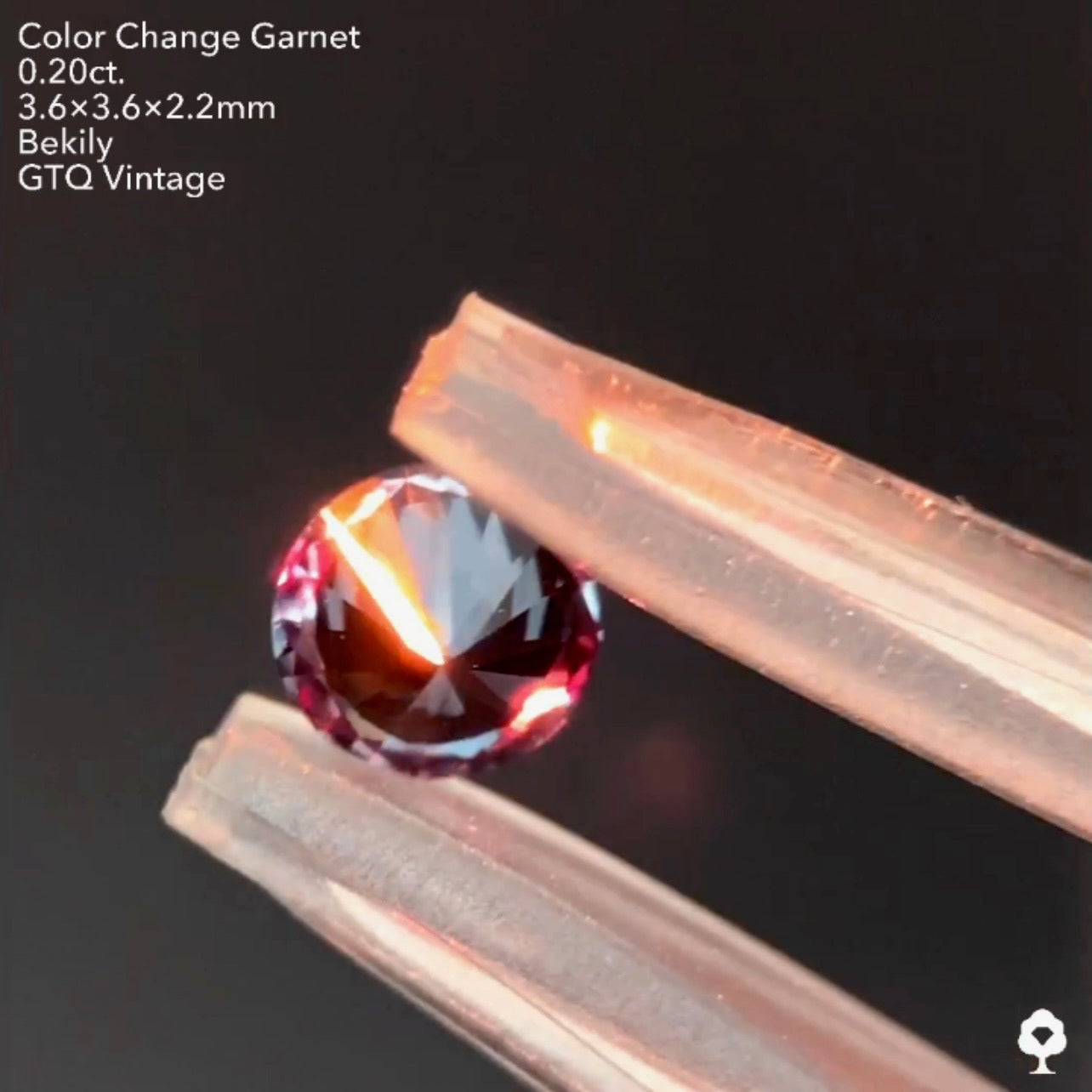No19.🌊良き質🤤ベキリー(カラーチェンジ)ガーネット0.20ct❤️🔥全サイトでイッキに販売スタートLive💎✨❤️🔥🔦